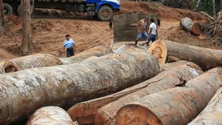 Gobierno presentará este semestre proyectos para impulsar sectores forestal, acuicola y turismo