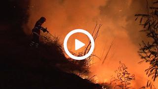 Portugal y España: Casi 40 muertos en incendios