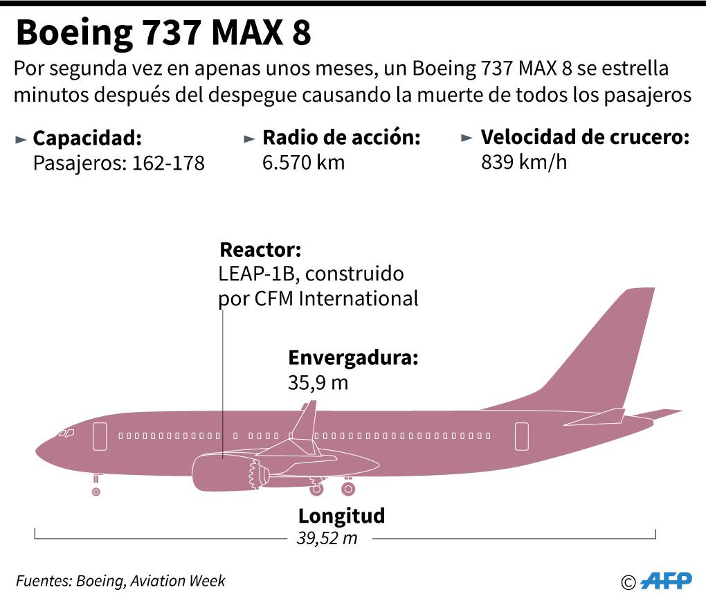 ¿Cómo es el Boeing 737 MAX 8? (Foto: AFP)