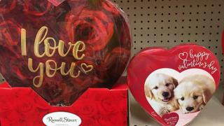 El amor por los perros transforma San Valentín en EE.UU. 