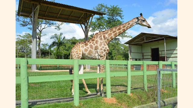 Zoo Pomerode, Pomerode, Brasil. “Exelente”