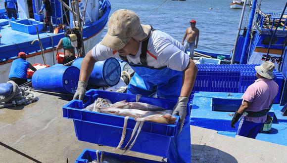 Produce busca extender esquema de cuotas de pesca individuales por nave a más especies marinas (Foto: Produce)
