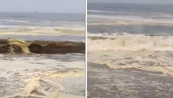 Alertan presencia de marea roja en playas del sur chico (Foto: Proyecto Tadeo)