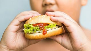 Riesgo de obesidad infantil crecería si madres consumen alimentos procesados