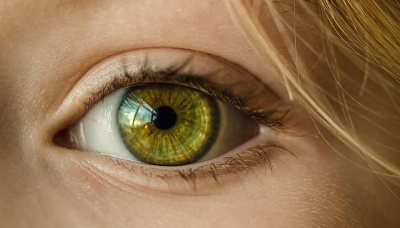 FOTO 4 | Con solo 0.3 mm de largo, el nuevo Michigan Micro Mote puede usarse en zonas delicadas o diminutas del cuerpo humano, como en el interior del ojo para estudiar el glaucoma. (Foto: Pixabay)
