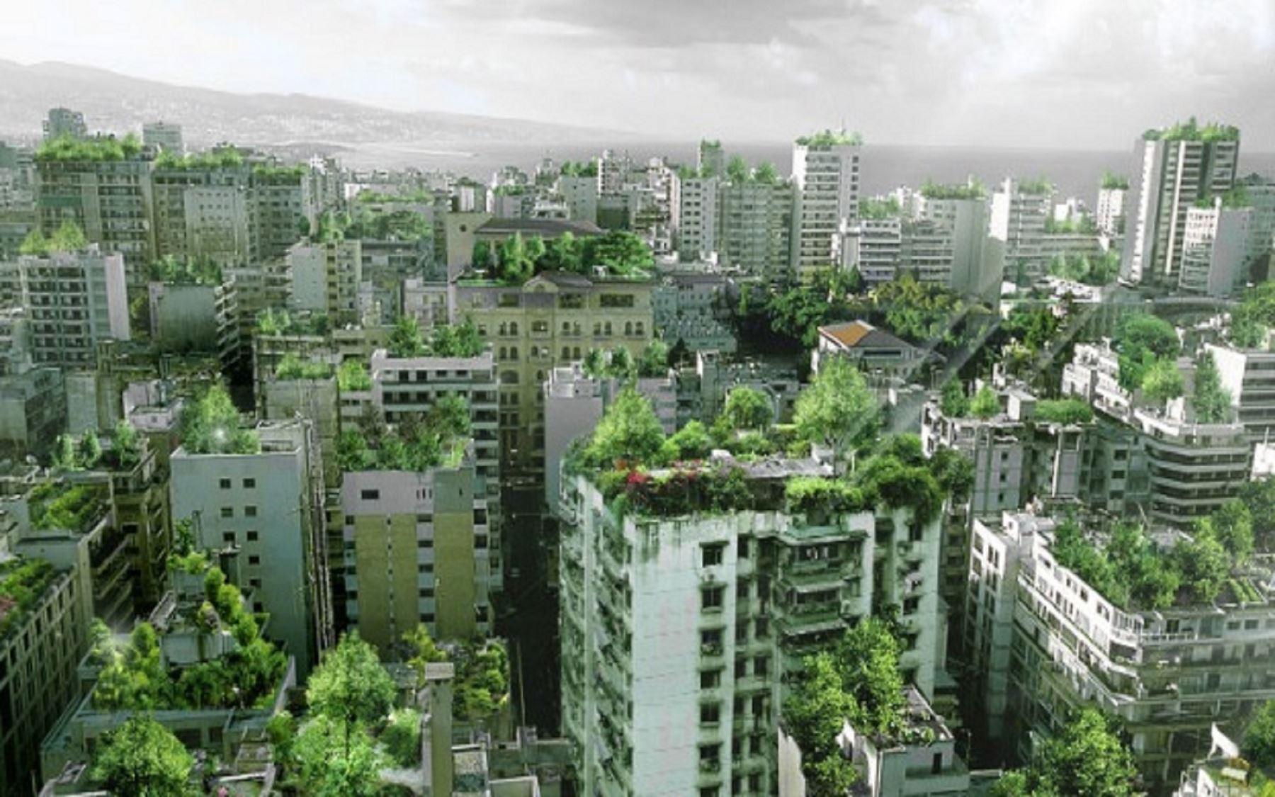 También estas edificaciones sostenibles deberán contar con estacionamiento para bicicletas (Foto: Difusión)