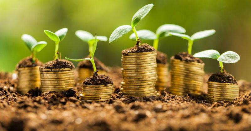 Bonos verdes. (Foto: Difusión)