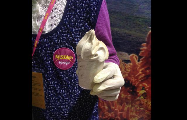 4. Helado de Quinua y Maca: Biocultivos de Lidia Cortez ofrece esta deliciosa y nutritiva mezcla entre quinua y maca en formato de helado, a tan solo cuatro soles. (Foto: Stephanie Stanbury)