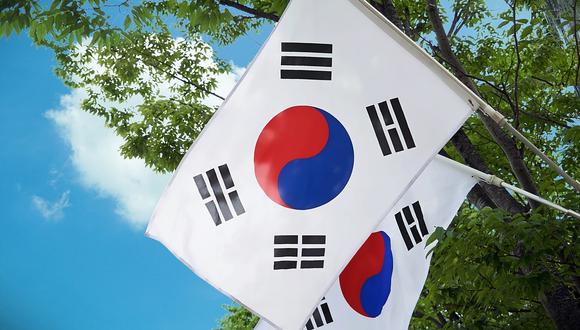 Foto 14 | Corea del Sur. La Casa Blanca anunció el 1 de mayo haber renegociado su tratado de libre comercio con Seúl poniendo fin a un conflicto con el país. Por ese acuerdo, Seúl acepta abrir más su mercado a los autos estadounidenses y prometió reducir en 30% sus ventas de acero a Estados Unidos. (Foto: Pixabay)