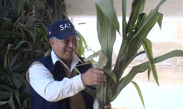 2-      Según el Ministerio de Agricultura, el 90% de las exportaciones de la carne de cuy se concentra en Estados Unidos, al ser un país que reúne una importante cantidad de peruanos.