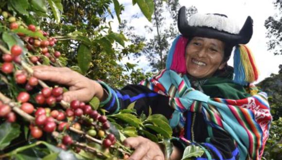 El crecimiento de la agroexportación nacional obedeció principalmente a una mayor venta de café  Foto: Andina
