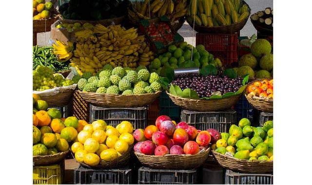 Salud y seguridad alimentaria. Dentro de la alimentación sostenible se incluye cualquier innovación que ayude a mejorar el rendimiento de las plantaciones agrícolas. Hemos hablado ya en otras ocasiones de Bynse, que aplica sensores y big data para mejorar