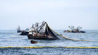 SNP: El Niño no afectaría la pesca y traería especies de oportunidad