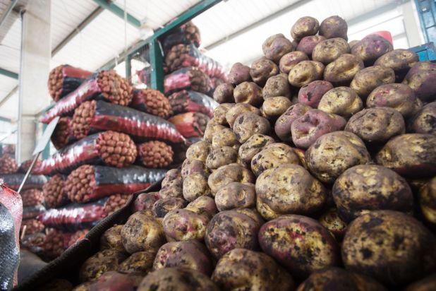 Papa en el Gran Mercado Mayorista de Lima.