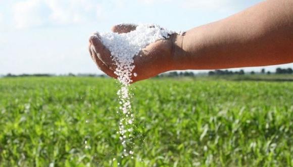 Durante la actual gestión gubernamental se han realizado hasta cuatros procesos públicos para la compra de fertilizante y hasta el momento, esta no se concreta. (Foto: GEC)