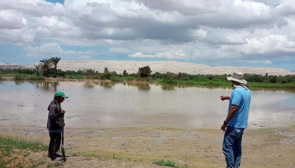 Agricultores del centro poblado San José de Pinilla son los afectados con la destrucción de 200 hectáreas de cultivo tras la caída de huaico y desborde del río Ica. (Foto: @Gore_Ica)