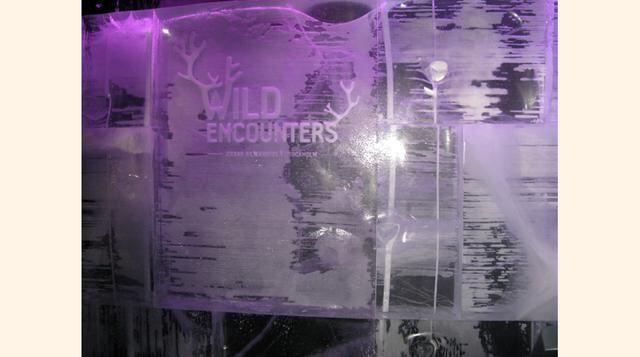 El bar cambia la temática de su interior cada año y este 2016 le tocó a ‘Wild Encounters’ (Encuentros Salvajes), inspirada en los animales silvestres que habitan los bosques suecos. (Foto: Gestión)