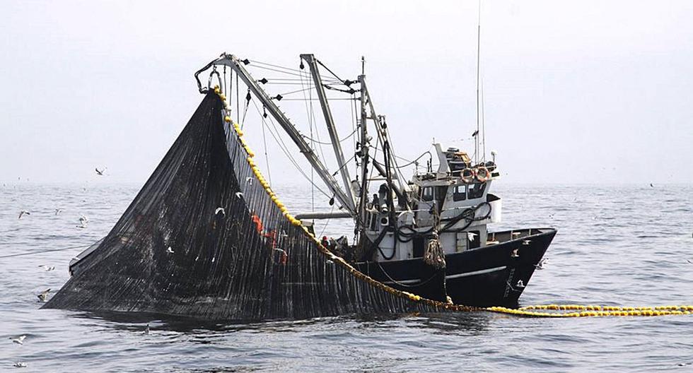 Disponen nueva veda de anchoveta y su pesca industrial se estanca, ECONOMIA