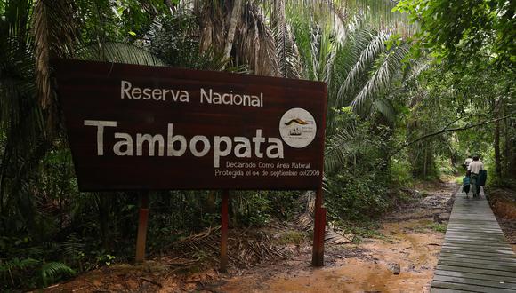 Madre de Dios: Reserva Nacional Tambopata reabre sus puertas el lunes 16 de noviembre (Foto: Alessandro Currarino)