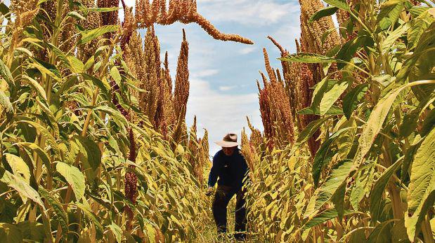 Instalan mesa para promover agroexportación