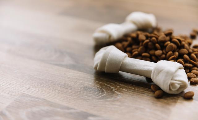 Mascotas
Otra micro tendencia social es el aumento de “padres” de mascotas. Simplemente los fabricantes de alimentos para perros y gatos mencionan que aumentaron en 33% su producción en los últimos cinco años, dice el Consejo Nacional de Fabricantes de Alimentos Balanceados y la Nutrición Animal y en el 75% de las tiendas de autoservicio el área de mascotas es igual o mayor que el departamento de bebés. En México, siete de cada 10 hogares tienen al menos una mascota dice el Consejo Nacional de Población. (Foto: Freepik)