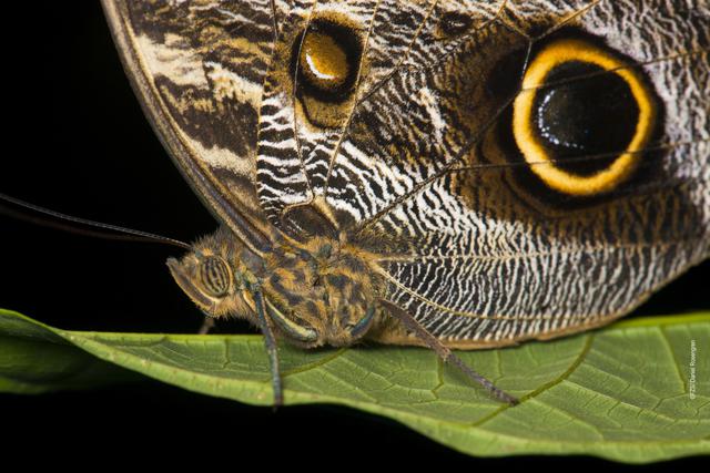 Foto 5 | Parque Nacional Yaguas