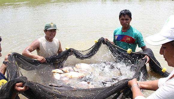Promulgan ley que declara de interés nacional creación de Ministerio de Pesquería y Acuicultura. (Foto: GEC)