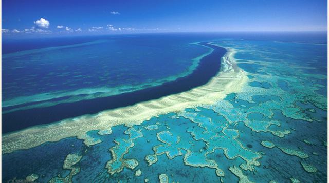 La Gran Barrera de Coral. El aumento de la temperatura de las aguas, la contaminación, la acidificación del mar y los ciclones, destruyen continuamente el arrecife y han causado el blanqueamiento masivo de corales. Se estima que el 60% de los arrecifes de
