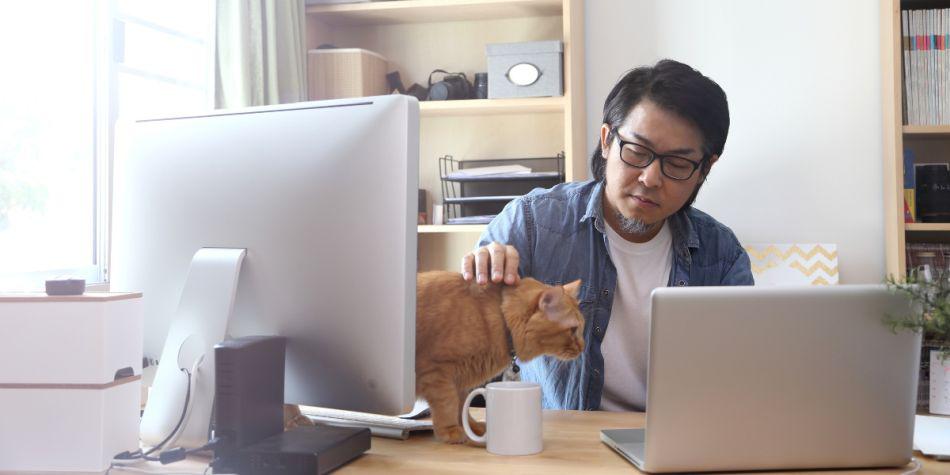 Hoy en día, parece que no es una idea tan descabellada tener una mascota en la oficina. (Foto: Passport Health)