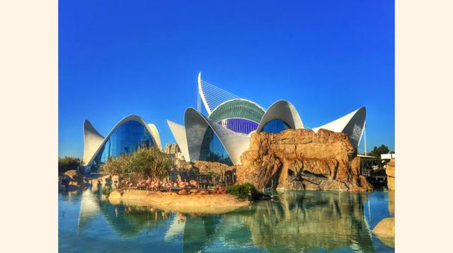 Oceanográfico (Oceanogràfic), Valencia, España. “Imprescindible si se viene a Valencia”.