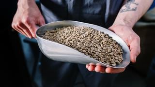 Agroexportadoras buscan posicionar café orgánico peruano en Corea del Sur
