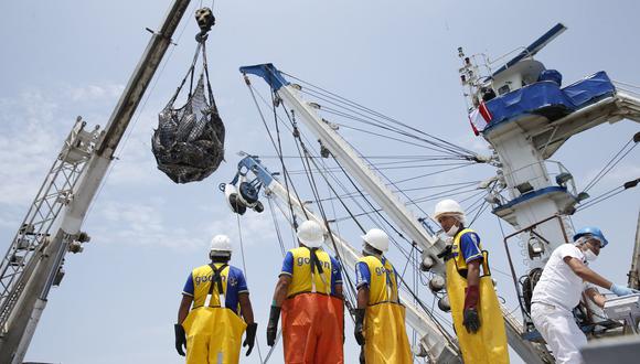 La cuota de pesca de bacalao fue fijada en 186 toneladas. (Foto: GEC)
