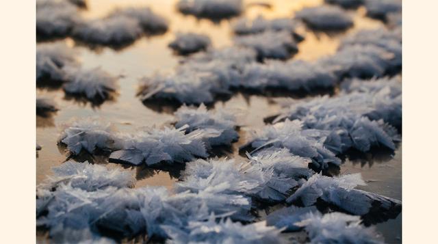 Flores de hielo (Antártida y Ártico). Estas flores nacen cuando el agua que hay bajo una capa superficial de hielo se evapora y escapa por las fisuras de este, siempre que la temperatura exterior sea lo suficientemente baja.
