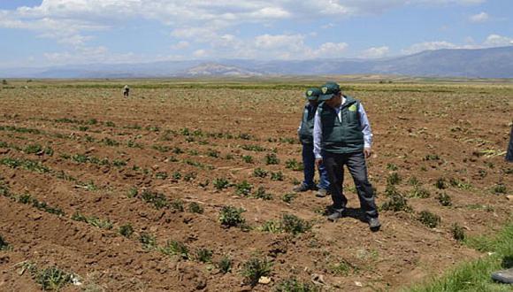 Gobierno declara en emergencia 61 distrito de Ayacucho, Apurimac y Arequipa por déficit hídrico por 60 días. (Foto: Andina)