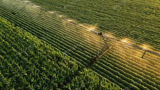 Tecnologías en la agroindustria optimizan hasta en 20% recursos hídricos y consumos energéticos