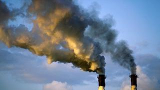 Pasar del carbón a la biomasa, la controvertida transición de una central eléctrica