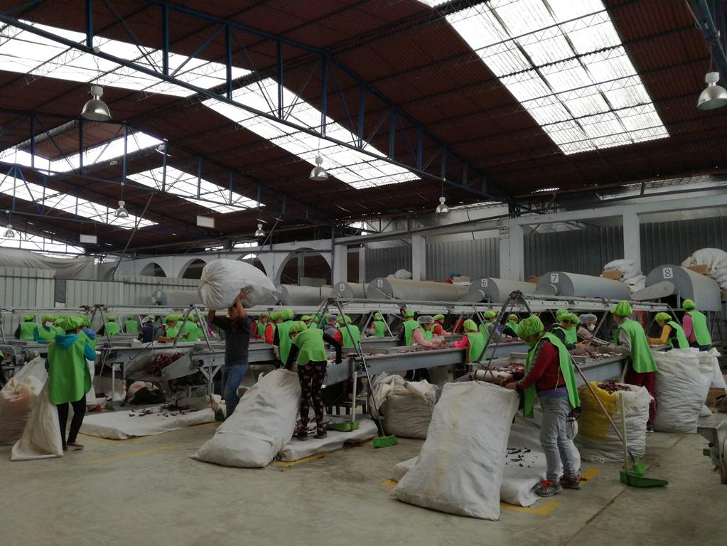 Exportaciones crecieron entre enero y abril. (Foto: Difusión)