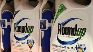 Monsanto: Jueza de EE.UU. rebaja de US$ 2,055 millones a US$ 87 millones multa a Bayer