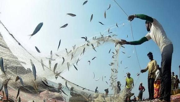 Más de 36 mil pescadores artesanales serán beneficiados (Foto:Andina)
