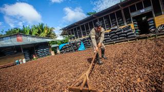 Serfor gestionó entrega de S/ 1.06 millones para pequeños productores forestales