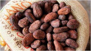 Productores de cacao se inclinan por lo orgánico: estas exportaciones crecerían más de 60% al 2023