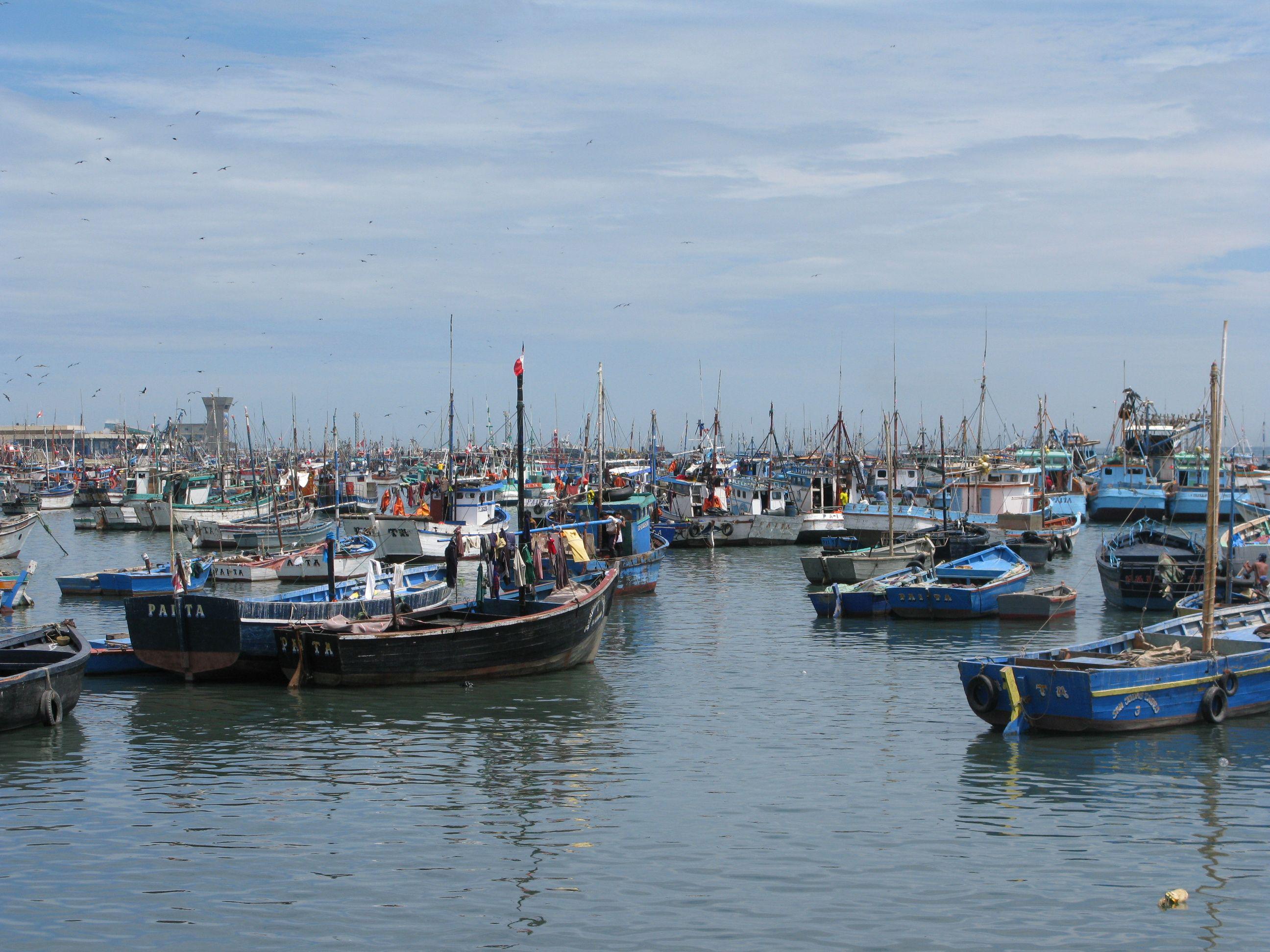 El PBI Pesca crecería hasta 0.4% este año, según la SNP. (Foto: GEC)