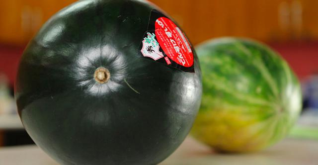 FOTO 1 | 6. La Sandía Densuke (Foto: Getty)