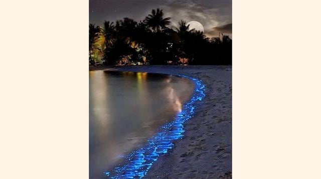 Playa maldivas (Maldivas), esta playa tiene luces naturales en sus arenas. Se trata de un increíble espectáculo y muy real denominado bioluminiscencia y causado por el un fitoplancton microscópico que al agitarse con las olas y reaccionar con el oxígeno d