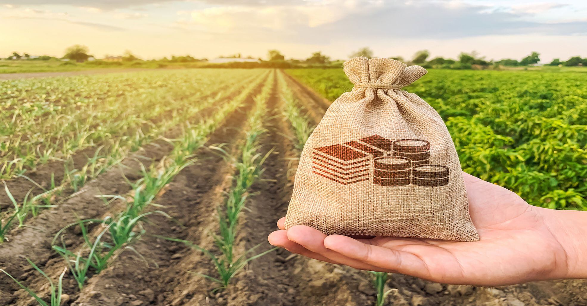 Bunge launches fintech to support agribusiness financing in Brazil