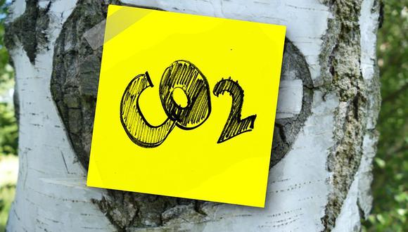 La emisión de CO2 tiene como base principal a la actividad humana y su impacto negativo en el planeta demanda acciones más conscientes en todas las actividades económicas (Foto: Pixabay)