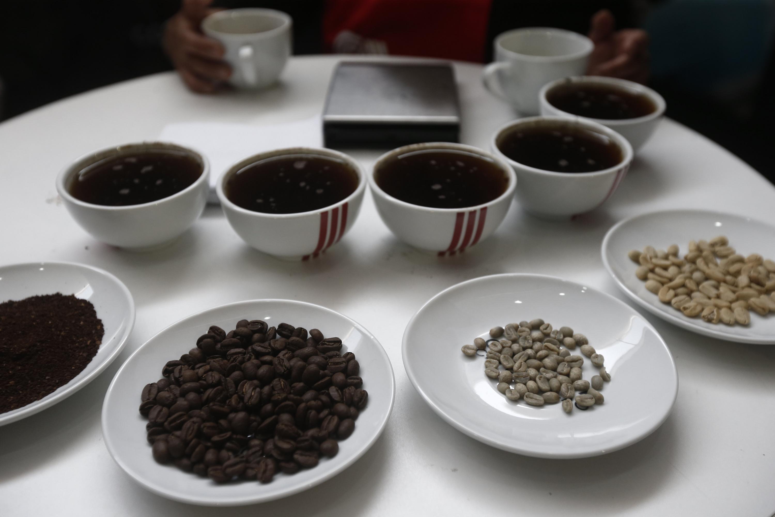 El café sin tostar ni descafeinar representa más del 99% de las exportaciones del café peruano. (Foto: GEC)