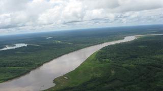 COP25: Perú logró reducir deforestación en la Amazonía en 2018