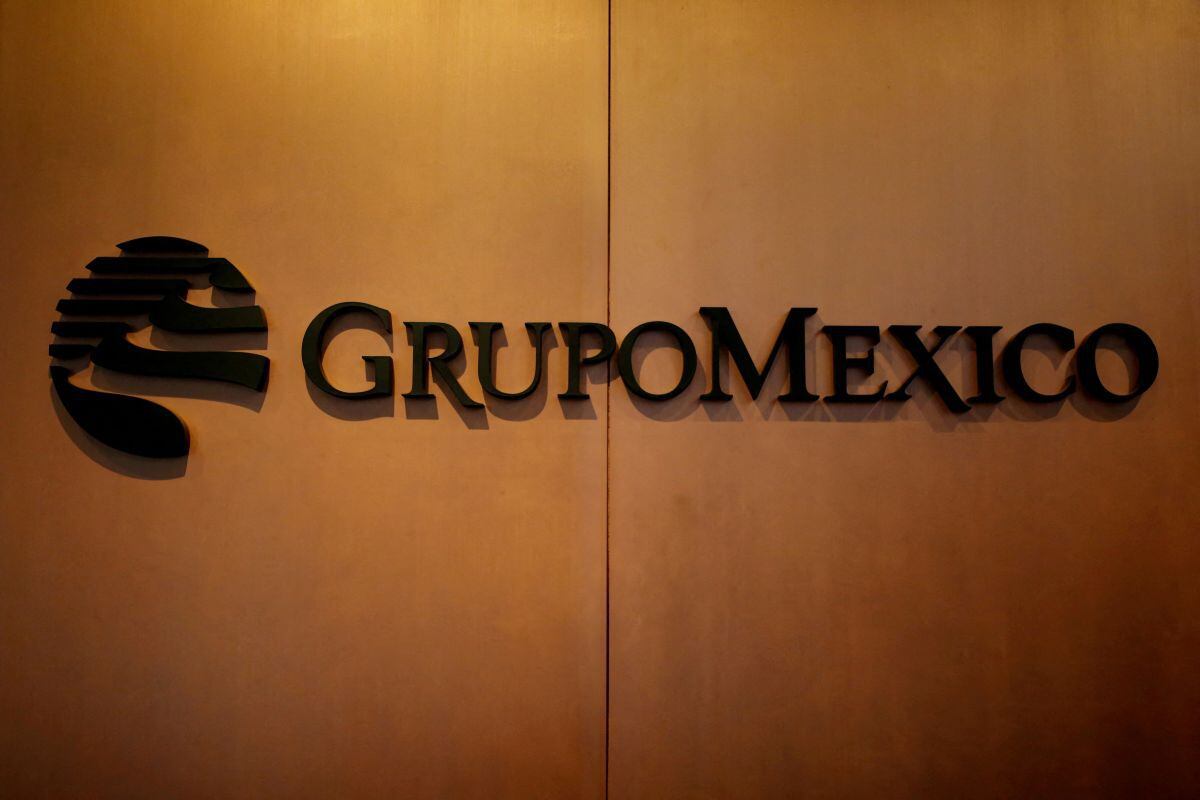 Grupo México Transportes continues to fall after government occupation of railway