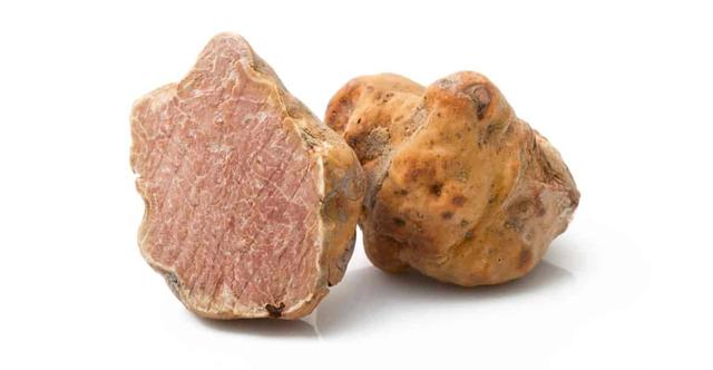 FOTO 6 | 1. Trufa blanca de Alba (Foto: Shutterstock)